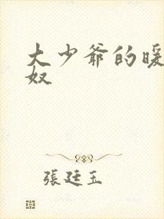 大少爷的暖床小奴