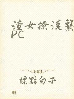 渣女撩汉系统NPC