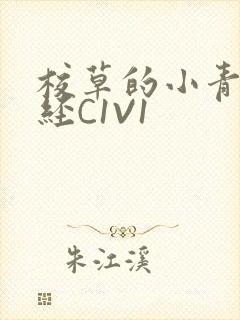 校草的小青梅不经C1V1