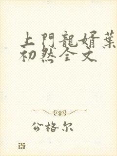 上门龙婿叶辰萧初然全文封面