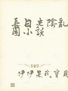 长日光阴乱作一团小说封面