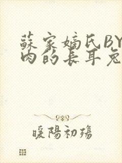 苏家嫡氏BY吃肉的长耳兔