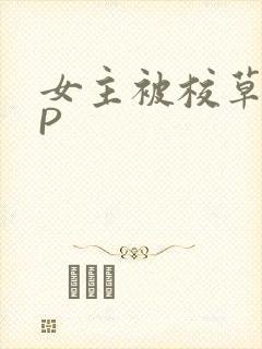 女主被校草们NP