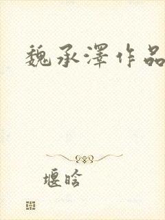 魏承泽作品封面