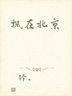 飘在北京