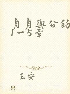 月月与公的激情1一5章