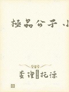 极品公子 小说封面