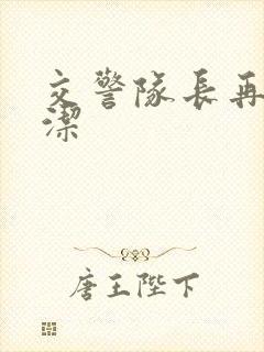 交警队长再遇白洁