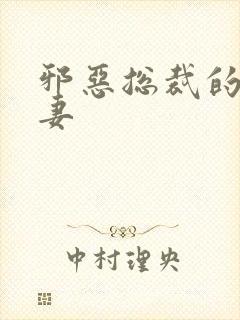 邪恶总裁的娇宠妻