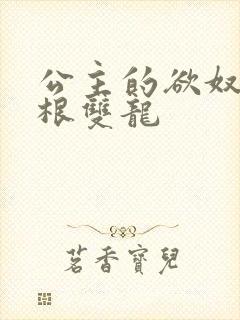 公主的欲奴h四根双龙