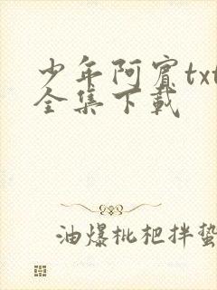 少年阿宾txt全集下载