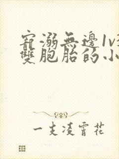 宠溺无边1v3双胞胎的小说