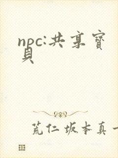 npc:共享宝贝