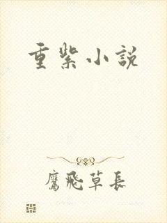重紫小说封面