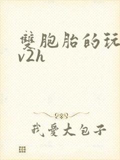 双胞胎的玩具1v2h