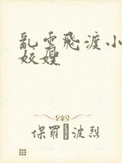 乱云飞渡小说之姣嫂