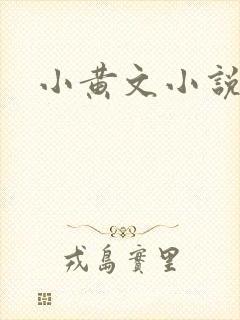 小黄文小说