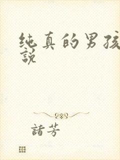 纯真的男孩子小说