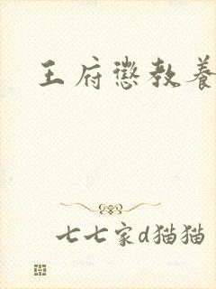 王府惩教养日常