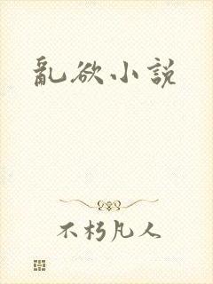 乱欲小说封面
