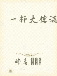 一杆大枪满屋扫封面