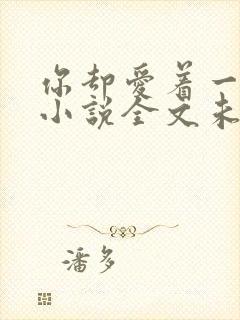 你却爱着一个他小说全文未删减免费