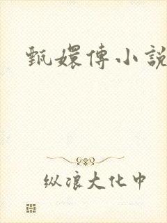 甄嬛传小说封面