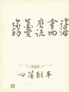 你怎么舍得让我的爱流向海封面