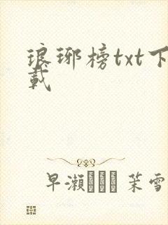 琅琊榜txt下载