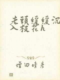 老头缓缓沉腰进入校花h封面