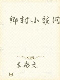 乡村小说网封面