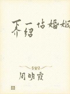 下一站婚姻剧情介绍封面