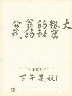 公翁的粗大放进我的秘密