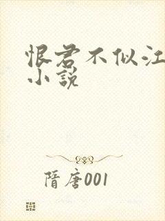 恨君不似江楼月小说