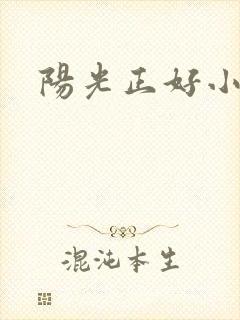 阳光正好小说封面