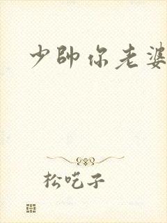 少帅你老婆封面