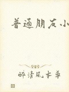 普通朋友小说