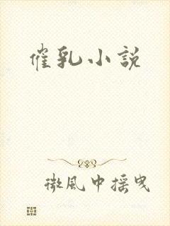 催乳小说封面