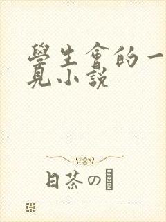 学生会的一己之见小说封面