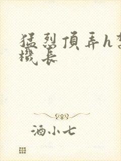 猛烈顶弄h禁欲机长封面