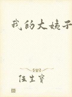 我的大姨子封面
