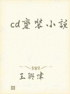 cd变装小说