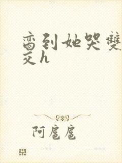 脔到她哭双根宫交h封面