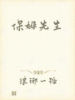 保姆先生