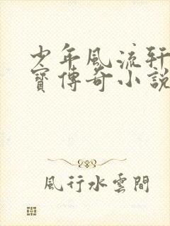 少年风流轩辕大宝传奇小说封面