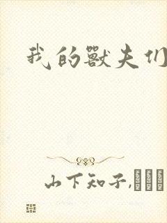 我的兽夫们封面