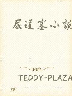 尿道塞小说封面