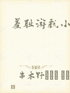 羞耻游戏小说封面