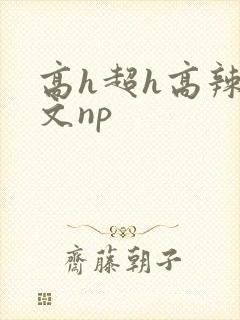 高h超h高辣h文np