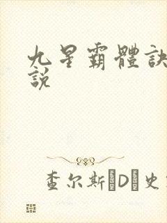 九星霸体诀 小说